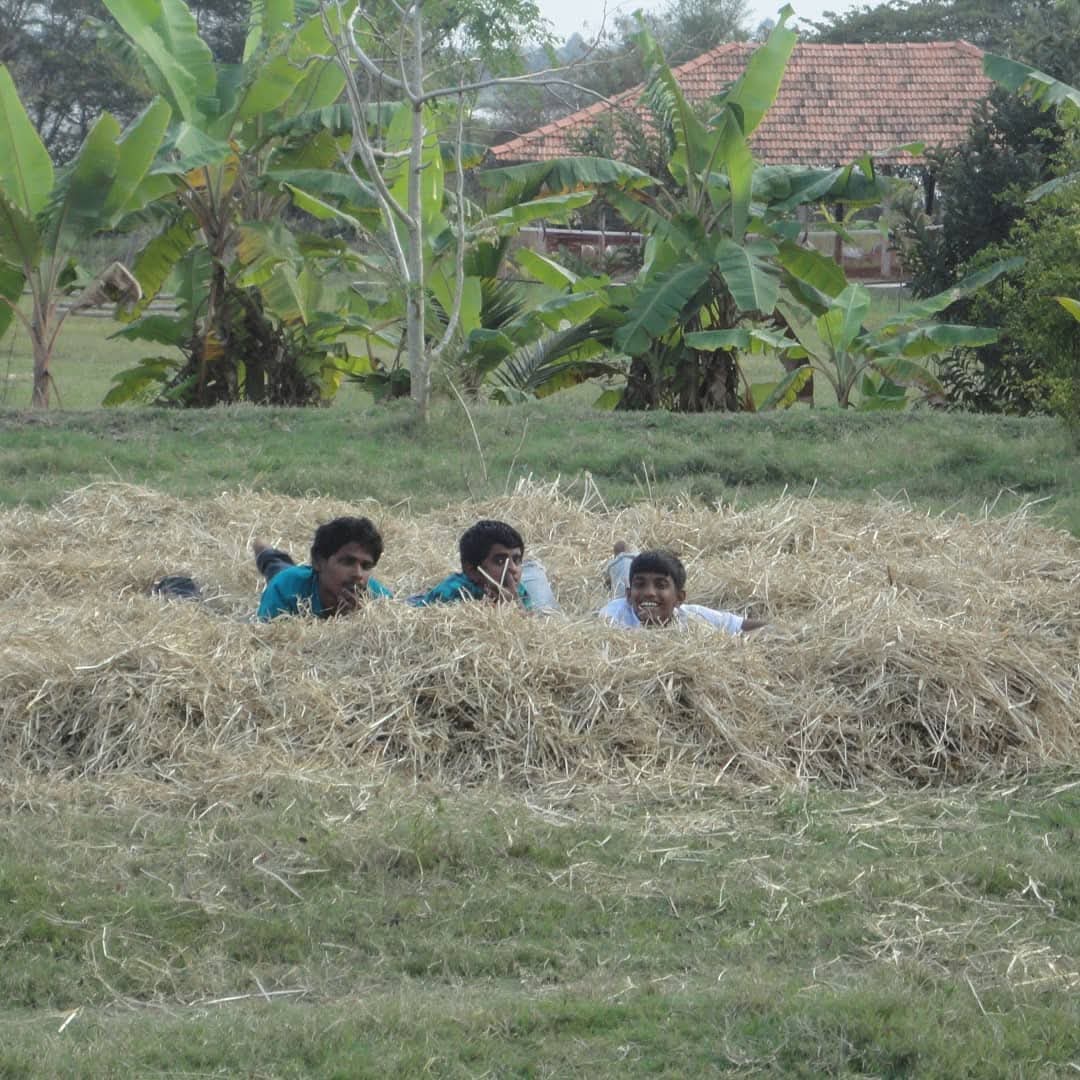 Nature healing environment